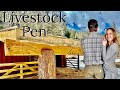 Shipping Container Livestock Pen