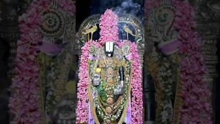 #srinivasa govindha srivenkatesha govindha