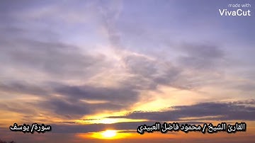 القارى الشيخ /محمود فاضل العبيدي                  سورة/يوسف