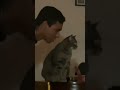 Try Not to Laugh Challenge 😂 2 #cat #funny #memes #pets #animals