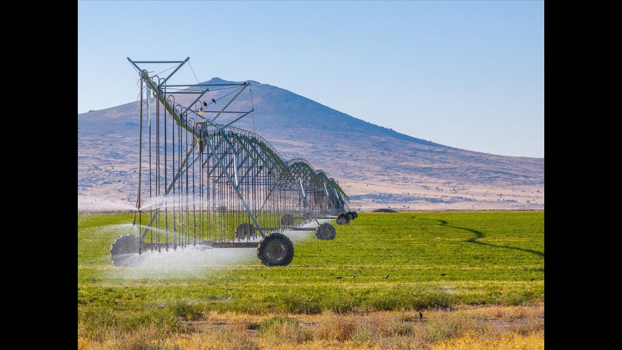 Dodge Ranch Dodge Ranch, 23,600 acres, Ravendale, California - YouTube