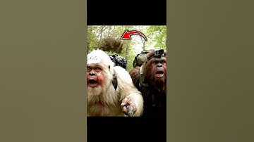 The Bee! 🐝🤣  | Vlog 9 #bigfoot #yeti #fail #bigfootvlog