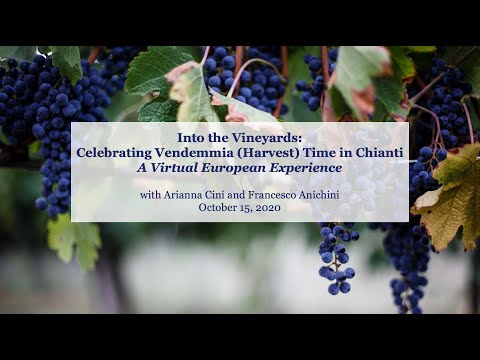 Vídeo: Plant d'interior de la vinya de castanya: com cultivar vinyes de castanya de tetrastigma