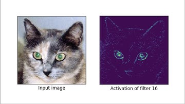 Lecture 7: Convolutional Neural Networks (old version)