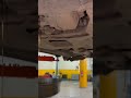 CVT transmission where interior #shorts #honda #mechanic #repair #carmaintenance