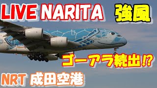 LIVE at NARITA International Airport Plane Spotting　2024.05.16　成田空港ライブカメラ 成田空港　NRT/RJAA