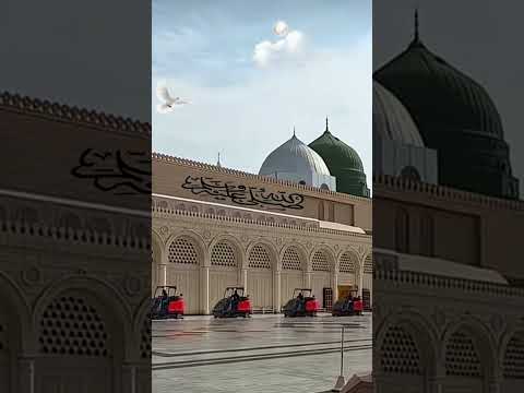 Desire To Die Madina Love Beautiful Mohammad Rasoolallah Shabirdero Tahadero1085 Youtube