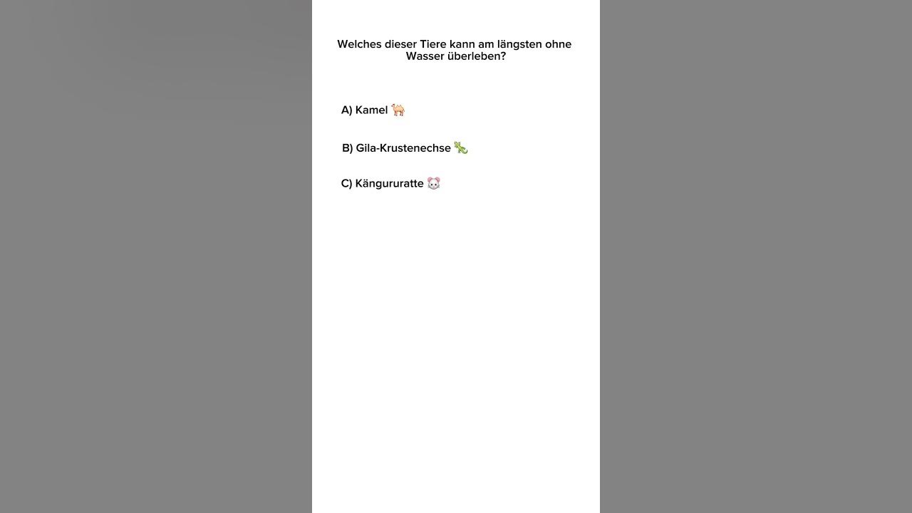 Wie Gut Kennst Du Dich Mit Fortnite Aus www.youtube.com