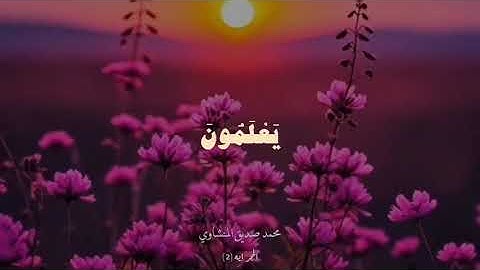 #قرآن #قران_كريم #تلاوة_خاشعة #تلاوة_هادئة #منشاوي #القارئ #هدوء #ترند #اجر_لي_ولك #قرآن_الصباح