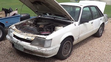 VK Commodore, Restoration, Barn Find Part 1