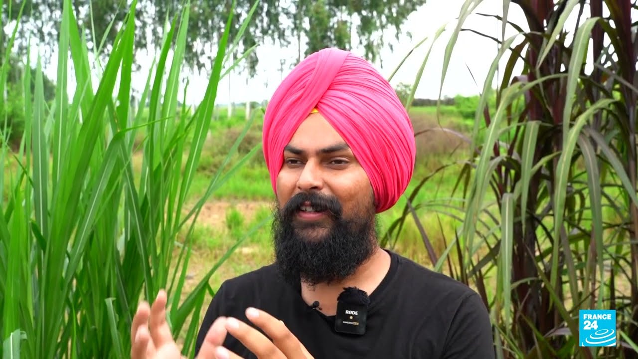 India expands digital footprint but faces censorship and blackouts • FRANCE 24 English