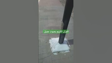 القرآن الكريم بصوت جميل #قرآن #اكسبلور #تيك_توك #اكسبلورر #لايك #اكسبلورفولو #الطارف