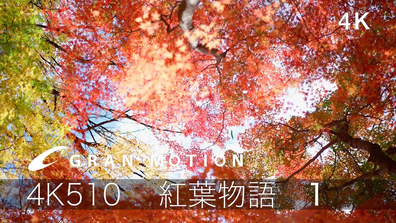 4k Japan Autumn Leaves 絶景紅葉4k510 4k動画素材集グランモーション 紅葉物語1 Youtube