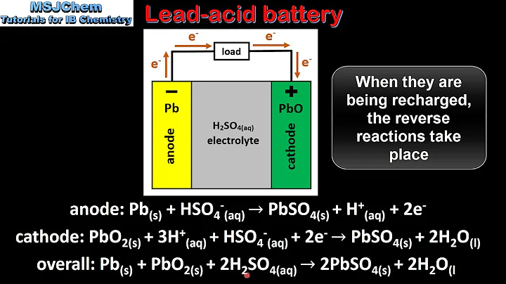 C.6 Primary and secondary cells (HL) - DayDayNews