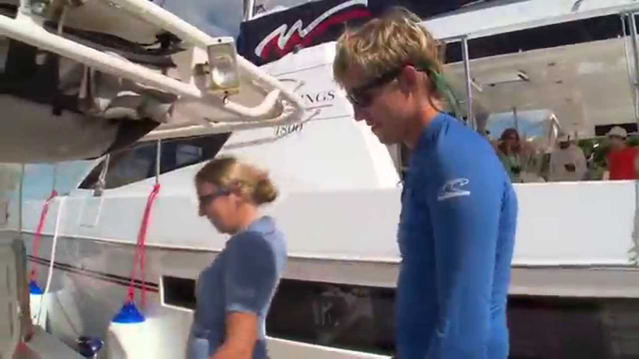 Diving in the British Virgin Islands with The Moorings