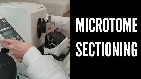 MICROTOME SECTIONING: A QUICK DEMO WITH INSTRUCTIONS