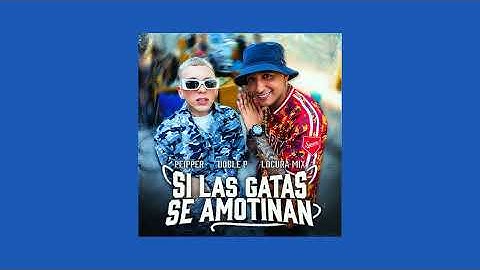 SI LAS GATAS SE AMOTINAN - PEIPPER - DOBLE P - LOCURA MIX