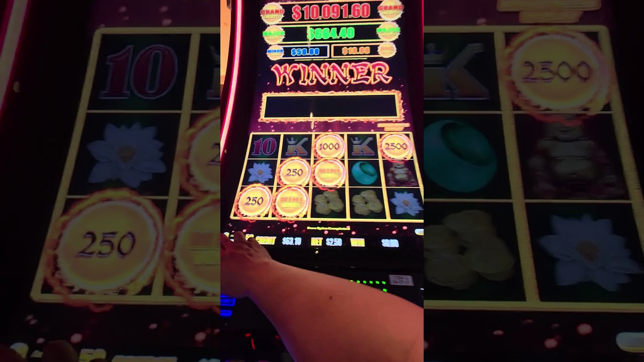 how to play slots online for money casino slot bonus