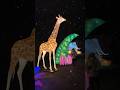Garden of Lights Zoo Wrocław Afryka Zwierzęta Dolny Śląsk Wystawa Iluminacje  #gardenoflights
