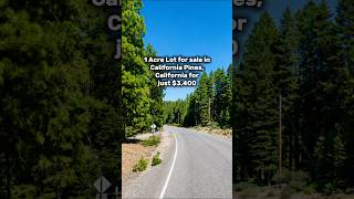 1 acre for sale in California for $3,400. #land #landforsale #california #fyp #landcentury #shorts