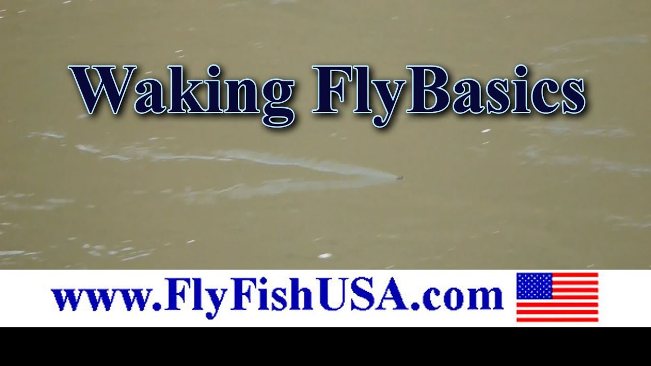 Waking Fly Basics Youtube 