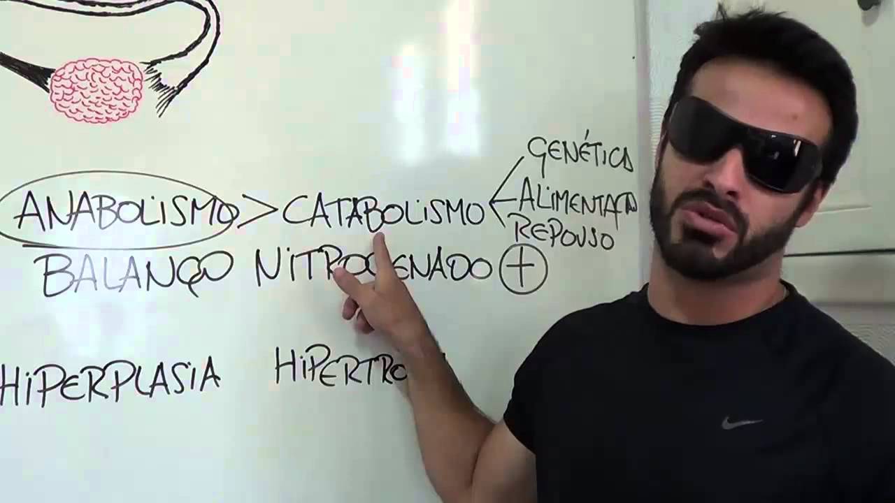 Esteróides Anabolizantes: Anabolismo, catabolismo, balanço nitrogenado, hiperplasia e hipertrofia fisiologia patologica
