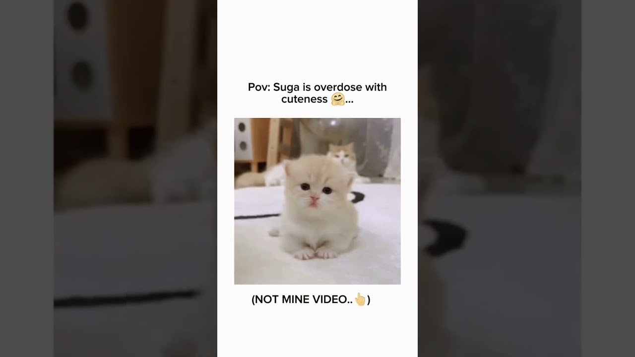 Pov:Suga is overdose with cuteness🤗