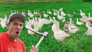 My Army of Honking Lawn Mowers