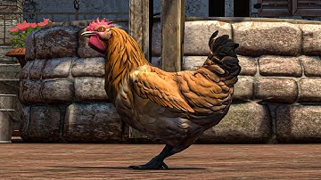 Make a HLAE campath that zooms in Counter-Strike - Beginner