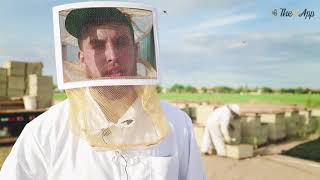 THE B APP REVIEW screenshot 3