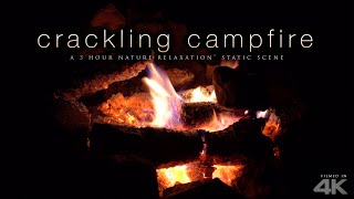 4K Crackling Campfire Scene - 3 Hrs + Fire Sounds By Nature Relaxation™