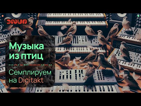 Видео: Семплирую пение птиц на Digitakt.