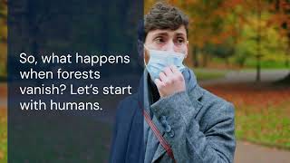 Deforestation | Causes, Effects & Solutions