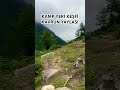KAVRUN YAYLASI #kids #doğa #shorts #shortvideo #shortsfeed #rize #travel #kendinisevmek #nature