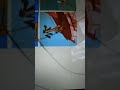 Cartoon Network Block Bumpers 1 