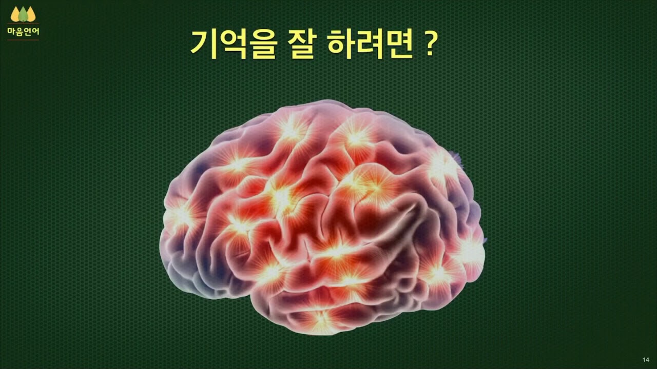 #기초 5 : 내면 성장을 위한 마음언어 - 기억(2) - YouTube