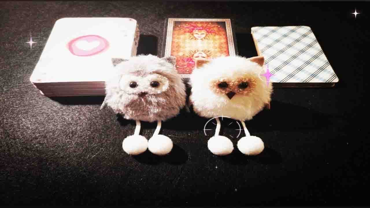 ESTÁ PENSANDO EN VOLVER ?   Tarot interactivo.