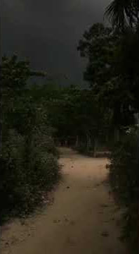 dherekoni huni aji borokhunor tupale koi tumi nai tumi nai Assamese status video