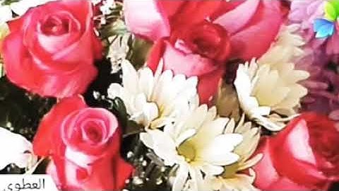 سورة المسد، الشيخ صلاح بو خاطر