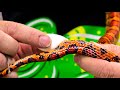 EGGBOUND SNAKE!! HELP REMOVING THE STUCK EGG TO SAVE HER LIFE!! | BRIAN BARCZYK