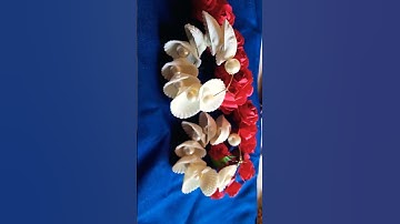 DIY seashell earing