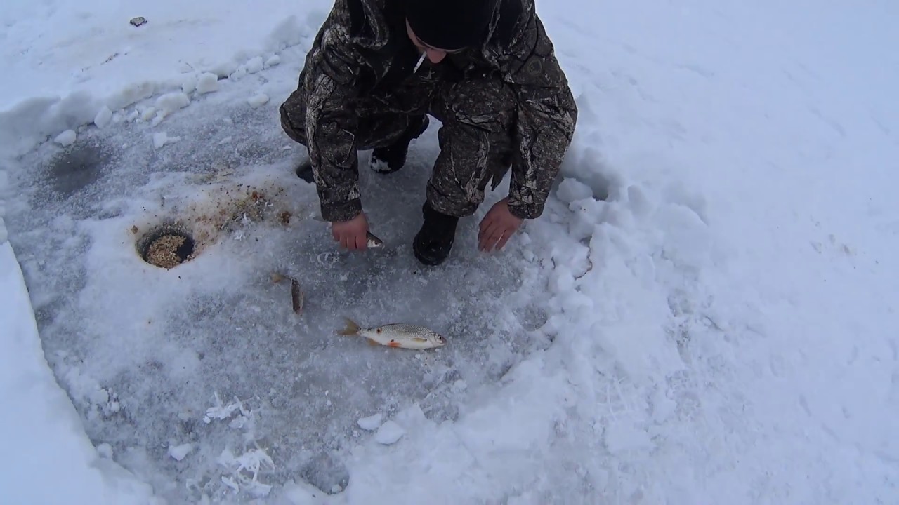 зимняя рыбалка красноярском море видео