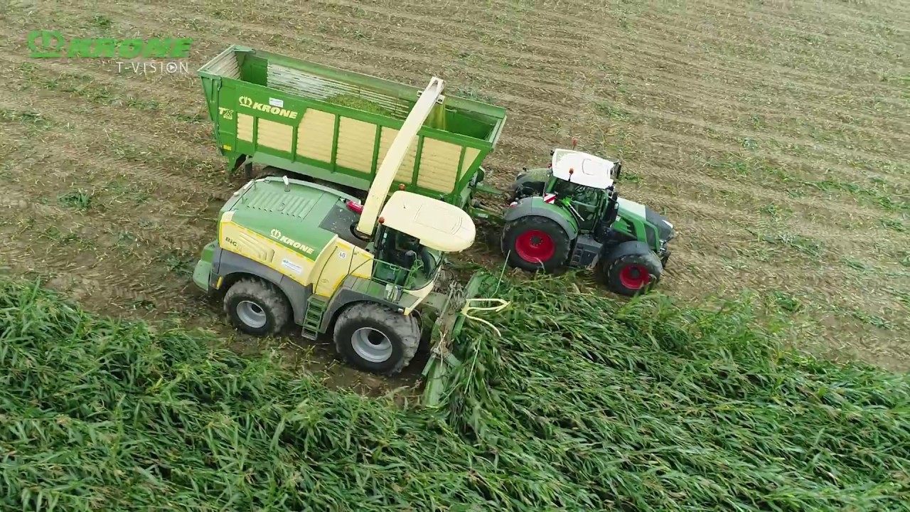 EasyCollect im Lagermais – Frühe Ernte nach Orkan in Niederbayern