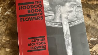 Hoodoo Book Review