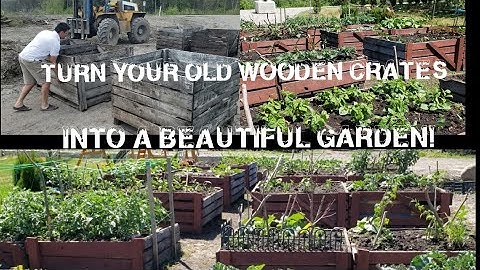 Part- 1 _Turn your old wooden crates into a beautiful GARDEN!