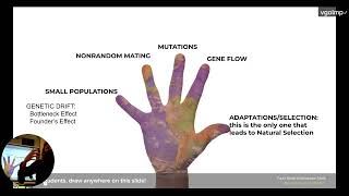 APBio Review of Chapter 16: How Populations Evolve