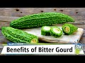 Benefits of Bitter Gourd