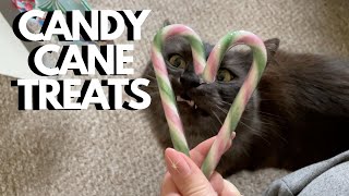 Cat Tries To Eat Candy Canes