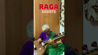 Starting a new series - #ragashorts - #veena #performance #raga #raaga #hindustani #carnatic