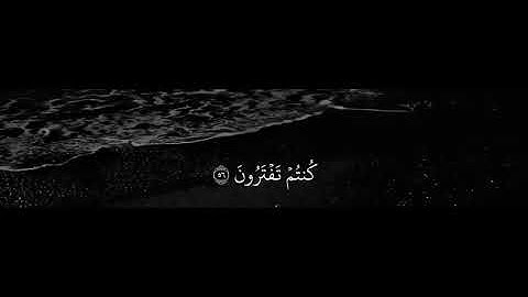 ارح سمعك.اجمل حالات واتس اب قران كريم بصوت جميل جدا💚 ||عبدالرحمن مسعد ||💚-- تلاوات خاشعة